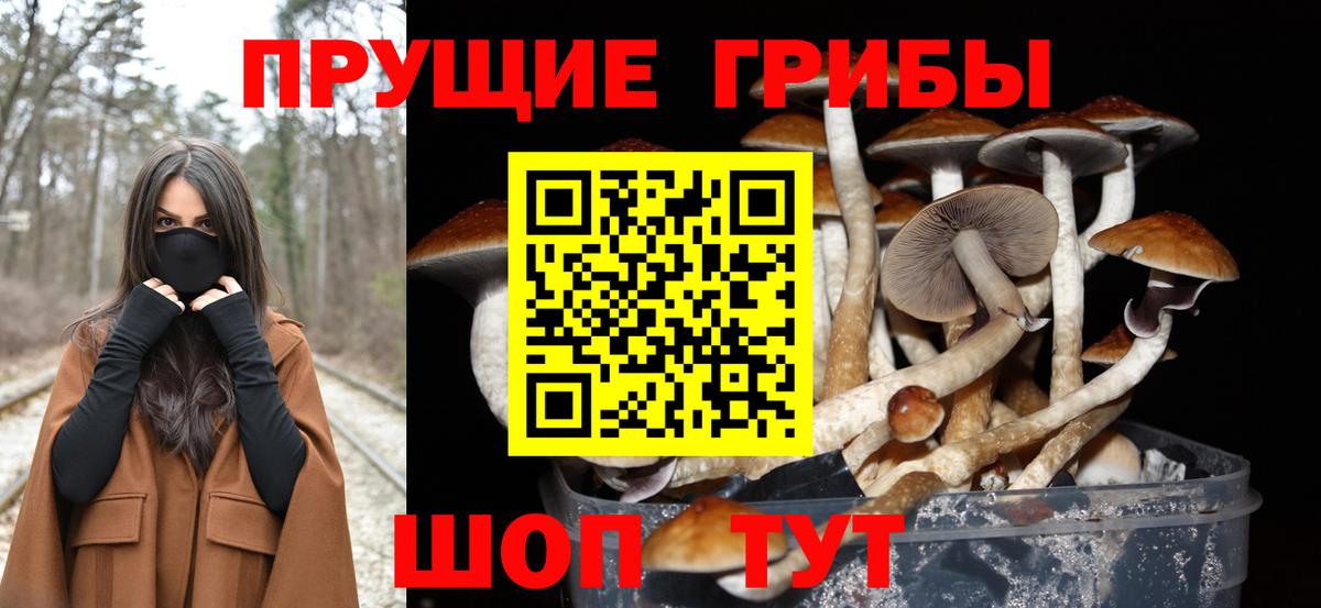 Галлюциногенные грибы Cubensis Зеленодольск